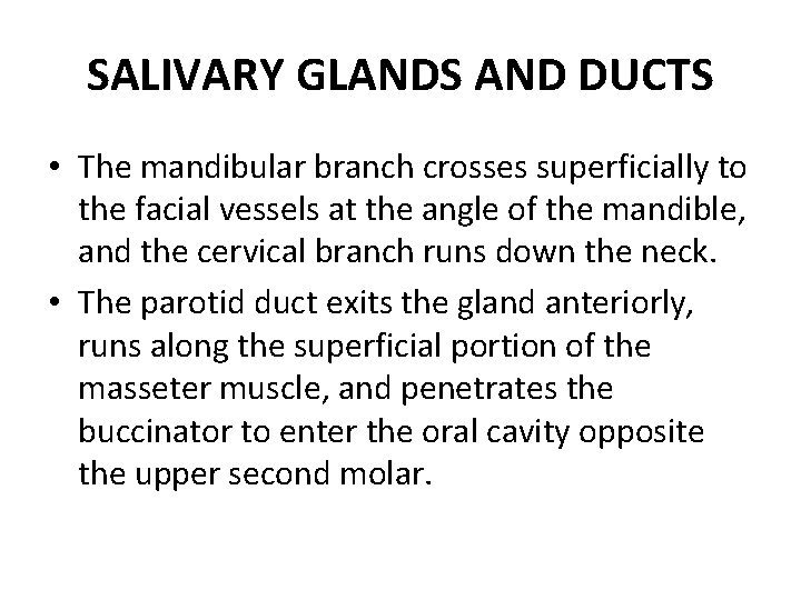 SALIVARY GLANDS AND DUCTS • The mandibular branch crosses superficially to the facial vessels