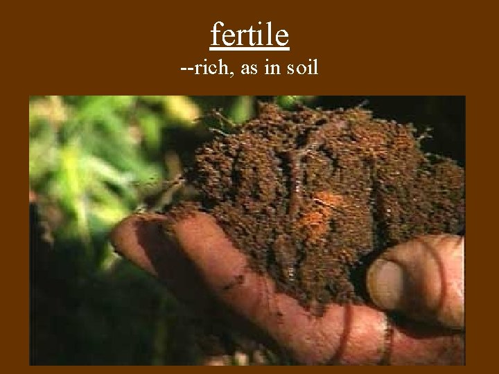 fertile --rich, as in soil 
