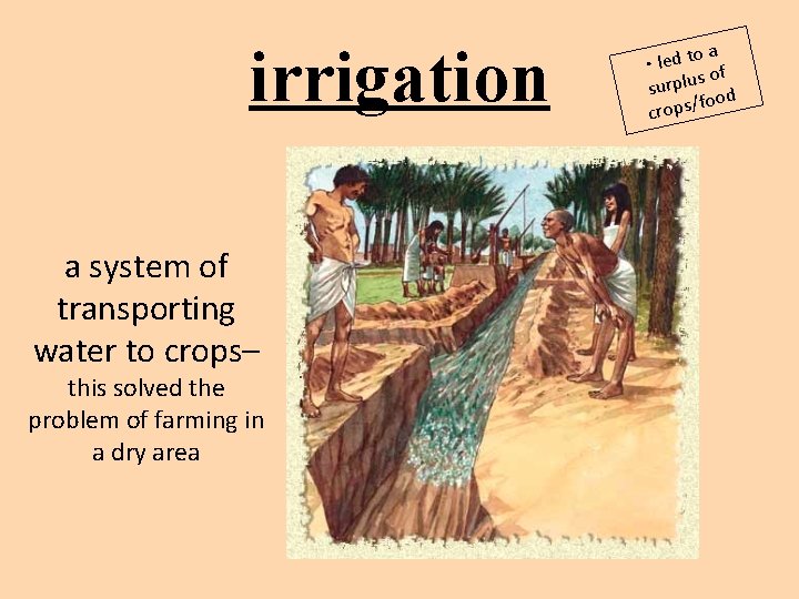 irrigation a system of transporting water to crops– this solved the problem of farming