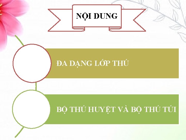 NỘI DUNG ĐA DẠNG LỚP THÚ BỘ THÚ HUYỆT VÀ BỘ THÚ TÚI 