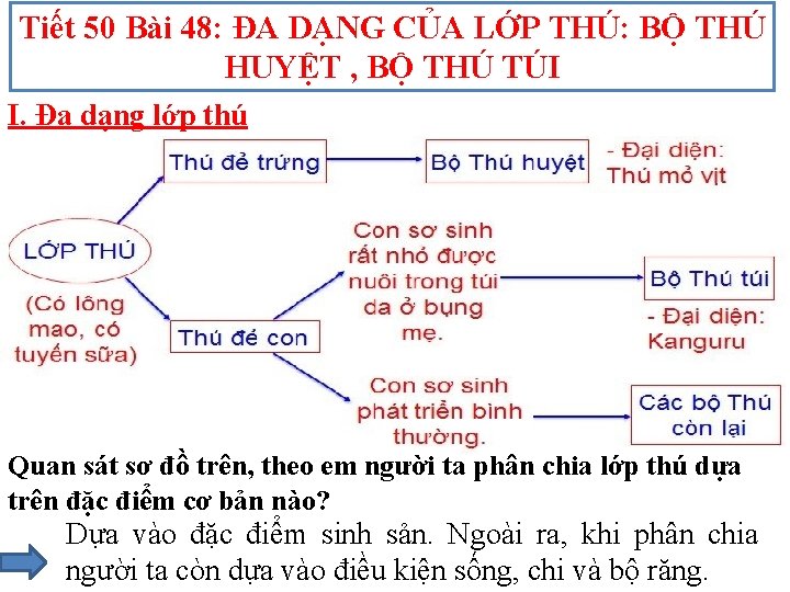 Tiết 50 Bài 48: ĐA DẠNG CỦA LỚP THÚ: BỘ THÚ HUYỆT , BỘ