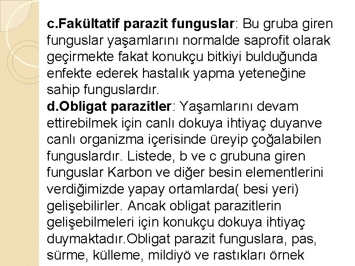 c. Fakültatif parazit funguslar: Bu gruba giren funguslar yaşamlarını normalde saprofit olarak geçirmekte fakat