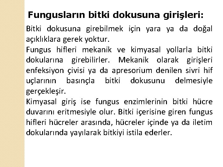 Fungusların bitki dokusuna girişleri: Bitki dokusuna girebilmek için yara ya da doğal açıklıklara gerek