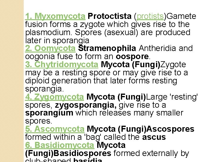 1. Myxomycota Protoctista (protists)Gamete fusion forms a zygote which gives rise to the plasmodium.