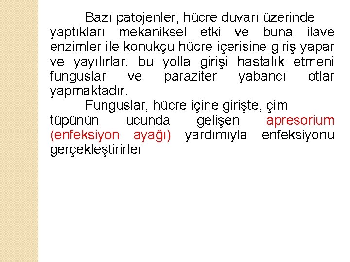 Bazı patojenler, hücre duvarı üzerinde yaptıkları mekaniksel etki ve buna ilave enzimler ile konukçu