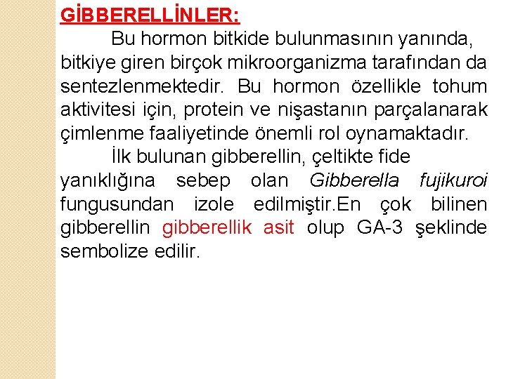 GİBBERELLİNLER: Bu hormon bitkide bulunmasının yanında, bitkiye giren birçok mikroorganizma tarafından da sentezlenmektedir. Bu