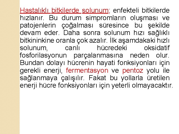 Hastalıklı bitkilerde solunum; enfekteli bitkilerde hızlanır. Bu durum simpromların oluşması ve patojenlerin çoğalması süresince