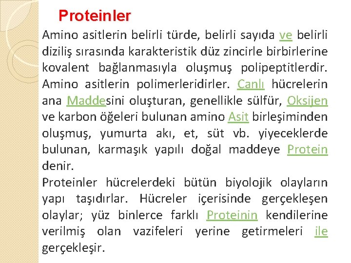 Proteinler Amino asitlerin belirli türde, belirli sayıda ve belirli diziliş sırasında karakteristik düz zincirle