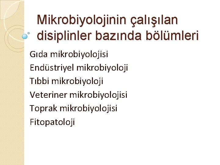 Mikrobiyolojinin çalışılan disiplinler bazında bölümleri Gıda mikrobiyolojisi Endüstriyel mikrobiyoloji Tıbbi mikrobiyoloji Veteriner mikrobiyolojisi Toprak