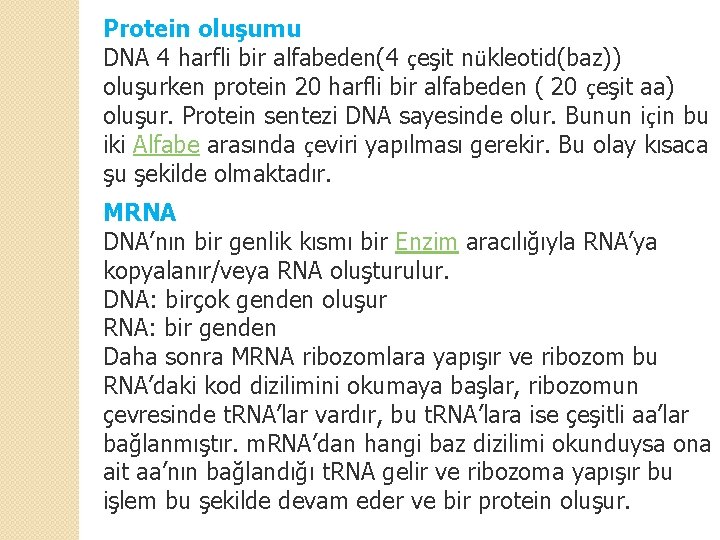 Protein oluşumu DNA 4 harfli bir alfabeden(4 çeşit nükleotid(baz)) oluşurken protein 20 harfli bir