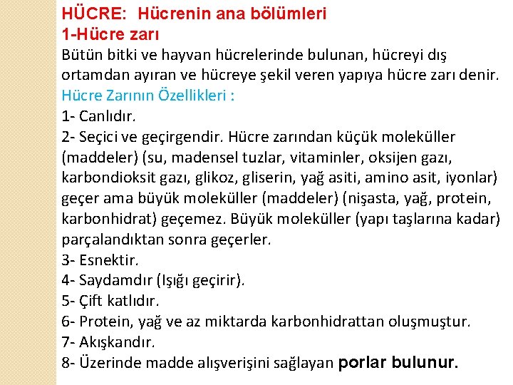 HÜCRE: Hücrenin ana bölümleri 1 -Hücre zarı Bütün bitki ve hayvan hücrelerinde bulunan, hücreyi