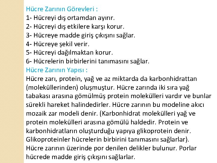 Hücre Zarının Görevleri : 1 - Hücreyi dış ortamdan ayırır. 2 - Hücreyi dış