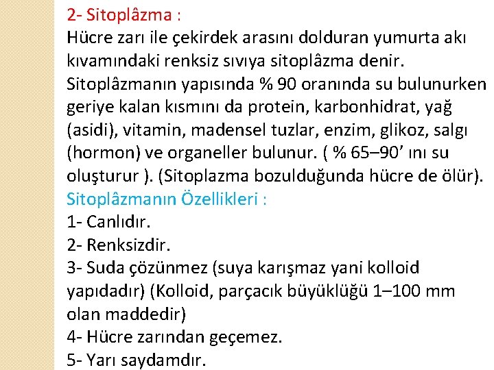 2 - Sitoplâzma : Hücre zarı ile çekirdek arasını dolduran yumurta akı kıvamındaki renksiz