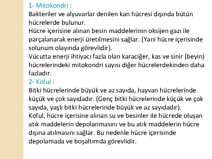 1 - Mitokondri : Bakteriler ve alyuvarlar denilen kan hücresi dışında bütün hücrelerde bulunur.