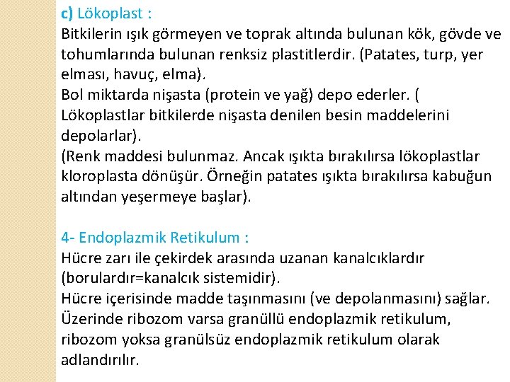 c) Lökoplast : Bitkilerin ışık görmeyen ve toprak altında bulunan kök, gövde ve tohumlarında