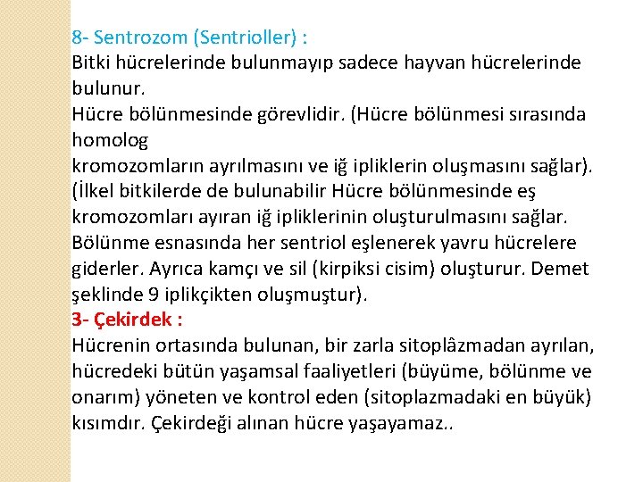 8 - Sentrozom (Sentrioller) : Bitki hücrelerinde bulunmayıp sadece hayvan hücrelerinde bulunur. Hücre bölünmesinde