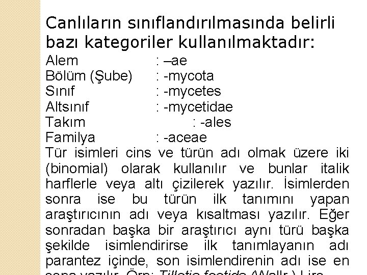 Canlıların sınıflandırılmasında belirli bazı kategoriler kullanılmaktadır: Alem : –ae Bölüm (Şube) : -mycota Sınıf