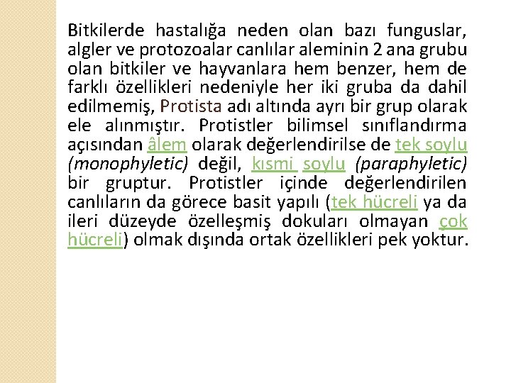 Bitkilerde hastalığa neden olan bazı funguslar, algler ve protozoalar canlılar aleminin 2 ana grubu