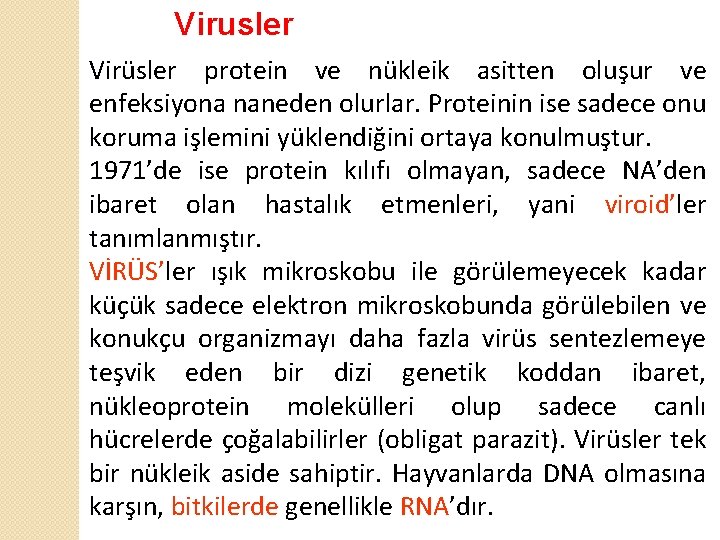 Virusler Virüsler protein ve nükleik asitten oluşur ve enfeksiyona naneden olurlar. Proteinin ise sadece