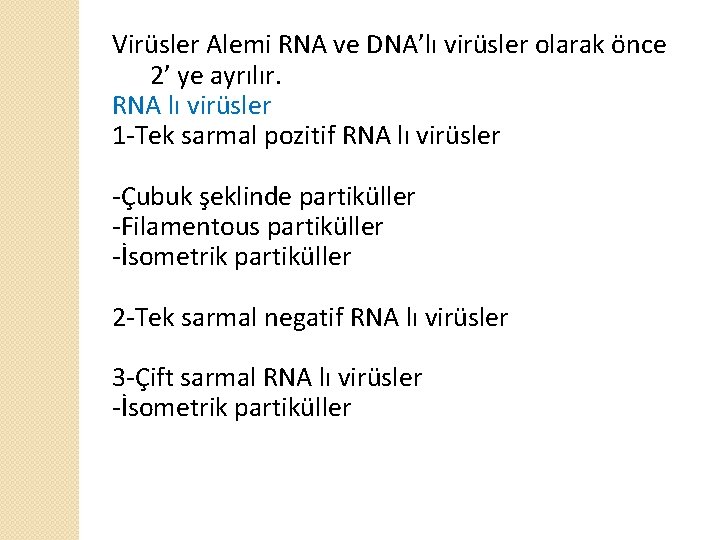 Virüsler Alemi RNA ve DNA’lı virüsler olarak önce 2’ ye ayrılır. RNA lı virüsler
