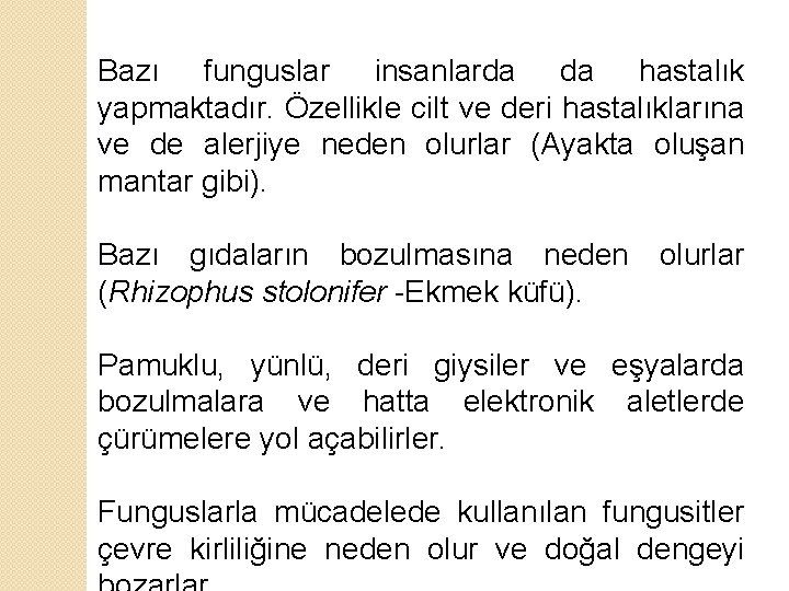 Bazı funguslar insanlarda da hastalık yapmaktadır. Özellikle cilt ve deri hastalıklarına ve de alerjiye