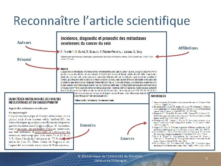 Reconnaître l’article scientifique Auteurs Affiliations Résumé Données Sources © Bibliothèque de l’Université de Moncton,