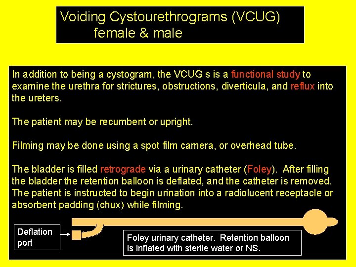 Voiding Cystourethrograms (VCUG) female & male In addition to being a cystogram, the VCUG