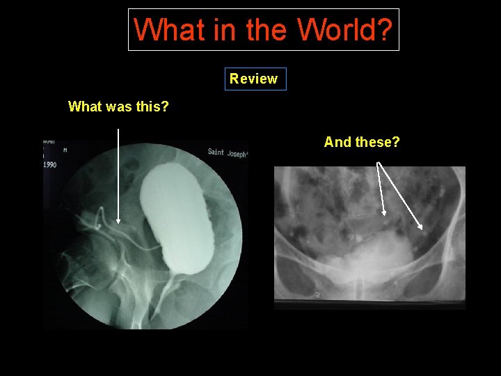 What in the World? Review What was this? And these? 