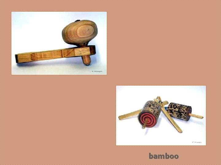 bamboo 