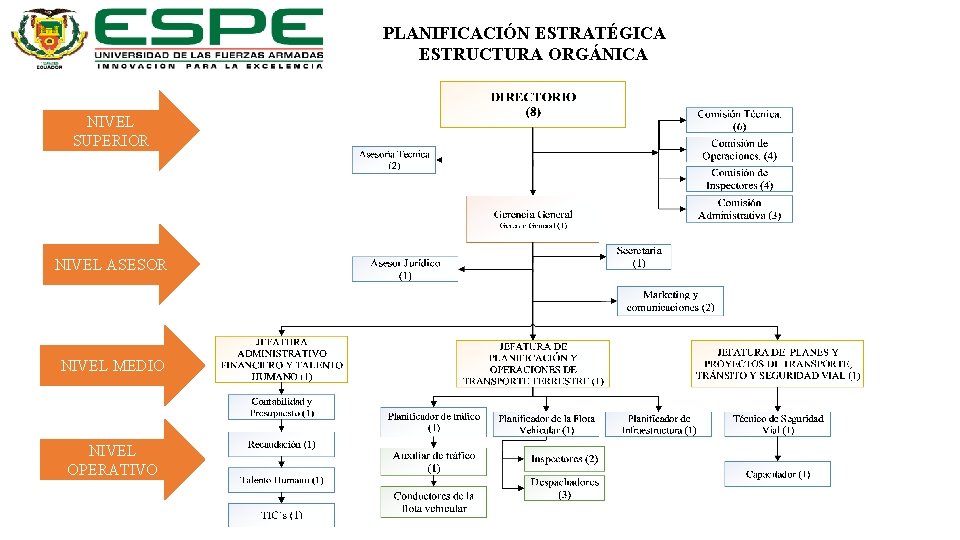 PLANIFICACIÓN ESTRATÉGICA ESTRUCTURA ORGÁNICA NIVEL SUPERIOR NIVEL ASESOR NIVEL MEDIO NIVEL OPERATIVO 