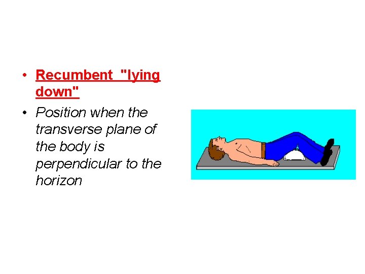  • Recumbent "lying down" • Position when the transverse plane of the body