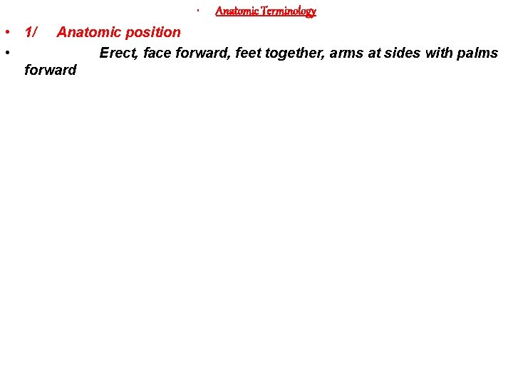  • Anatomic Terminology • 1/ Anatomic position • Erect, face forward, feet together,