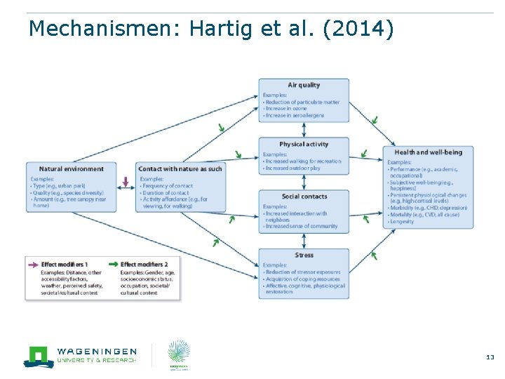 Mechanismen: Hartig et al. (2014) 13 