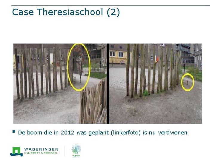 Case Theresiaschool (2) § De boom die in 2012 was geplant (linkerfoto) is nu