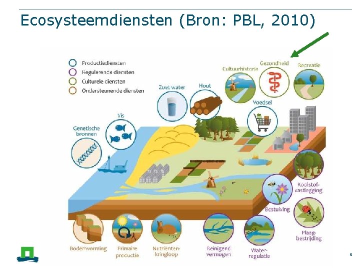 Ecosysteemdiensten (Bron: PBL, 2010) 6 