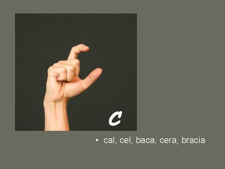  • cal, cel, baca, cera, bracia 