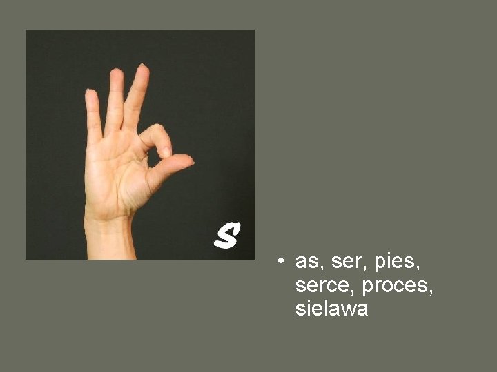  • as, ser, pies, serce, proces, sielawa 