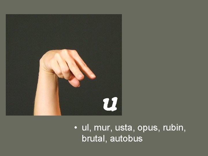  • ul, mur, usta, opus, rubin, brutal, autobus 