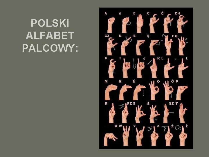 POLSKI ALFABET PALCOWY: 