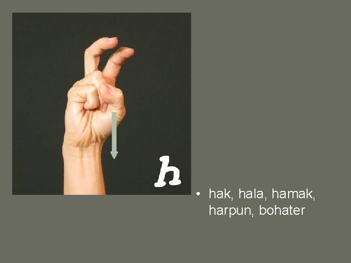  • hak, hala, hamak, harpun, bohater 