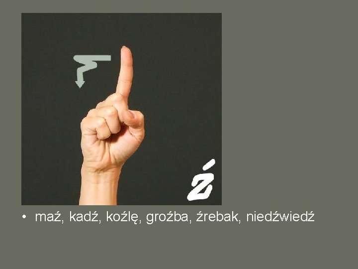  • maź, kadź, koźlę, groźba, źrebak, niedźwiedź 