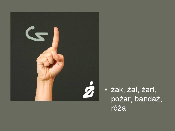  • żak, żal, żart, pożar, bandaż, róża 