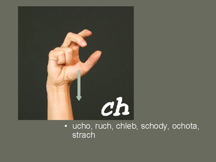  • ucho, ruch, chleb, schody, ochota, strach 