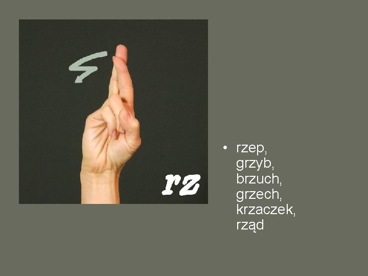  • rzep, grzyb, brzuch, grzech, krzaczek, rząd 