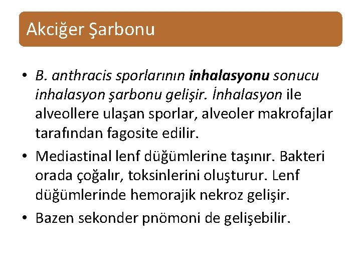 Akciğer Şarbonu • B. anthracis sporlarının inhalasyonu sonucu inhalasyon şarbonu gelişir. İnhalasyon ile alveollere