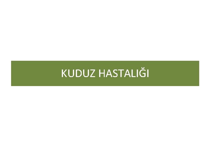 KUDUZ HASTALIĞI 