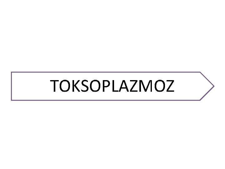 TOKSOPLAZMOZ 