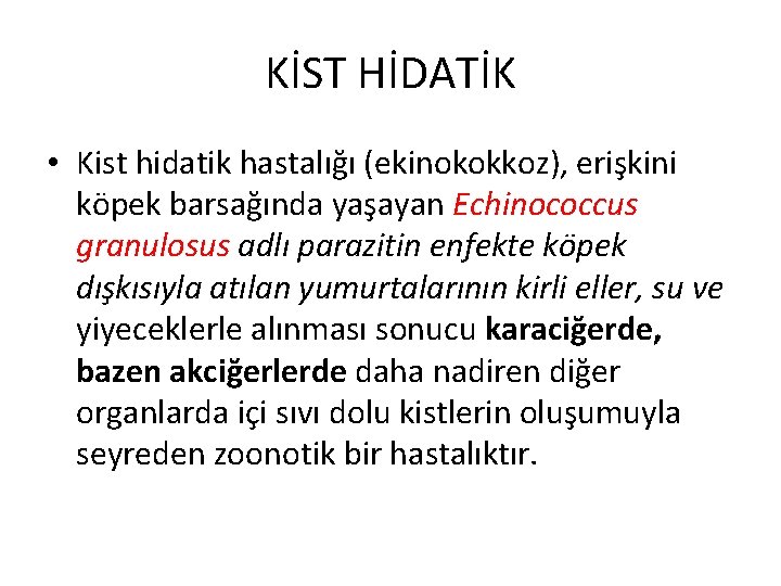 KİST HİDATİK • Kist hidatik hastalığı (ekinokokkoz), erişkini köpek barsağında yaşayan Echinococcus granulosus adlı