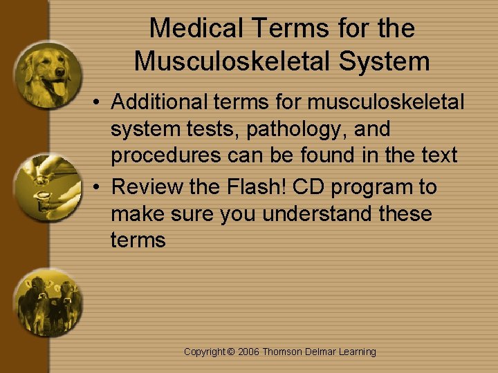 Medical Terms for the Musculoskeletal System • Additional terms for musculoskeletal system tests, pathology,