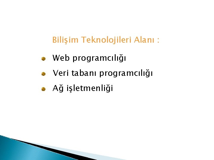 Bilişim Teknolojileri Alanı : Web programcılığı Veri tabanı programcılığı Ağ işletmenliği 